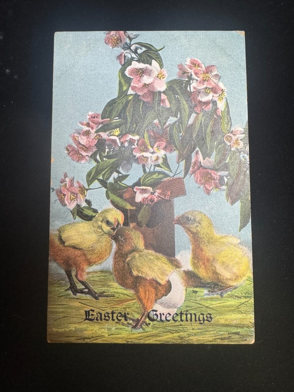 1910 Antique Easter Greetings Postcard Chicks Flowers Saratoga Postmark